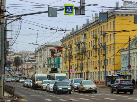 На улице Кутузова в Туле замечен гуляющий енот Новости Тулы 